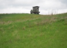 Picture 024
